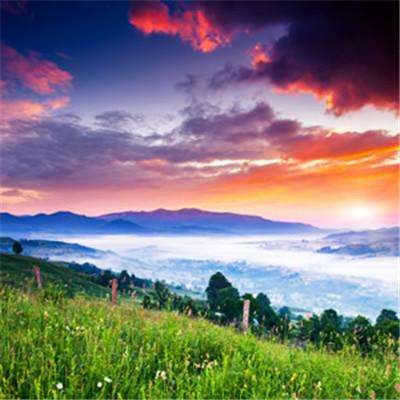 甘肃肃南：夏日祁连山国家公园景色迷人